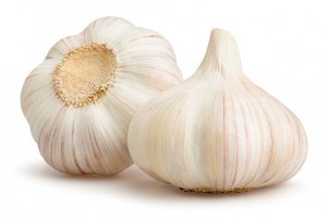 Fresh Garlic from Egypt